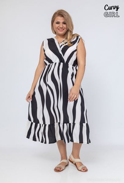 Picture of CURVY GIRL ZEBRA DRESS